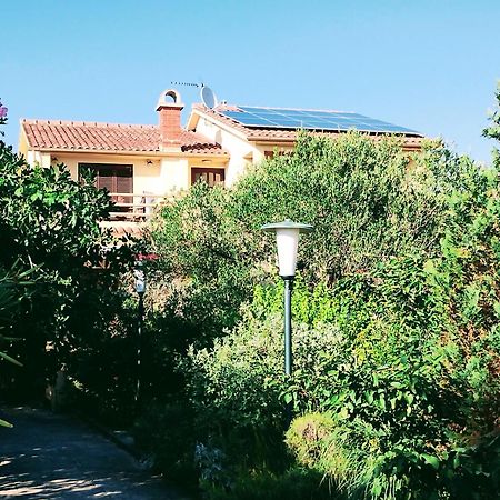 Adria Apartments Sveti Filip i Jakov Exteriör bild