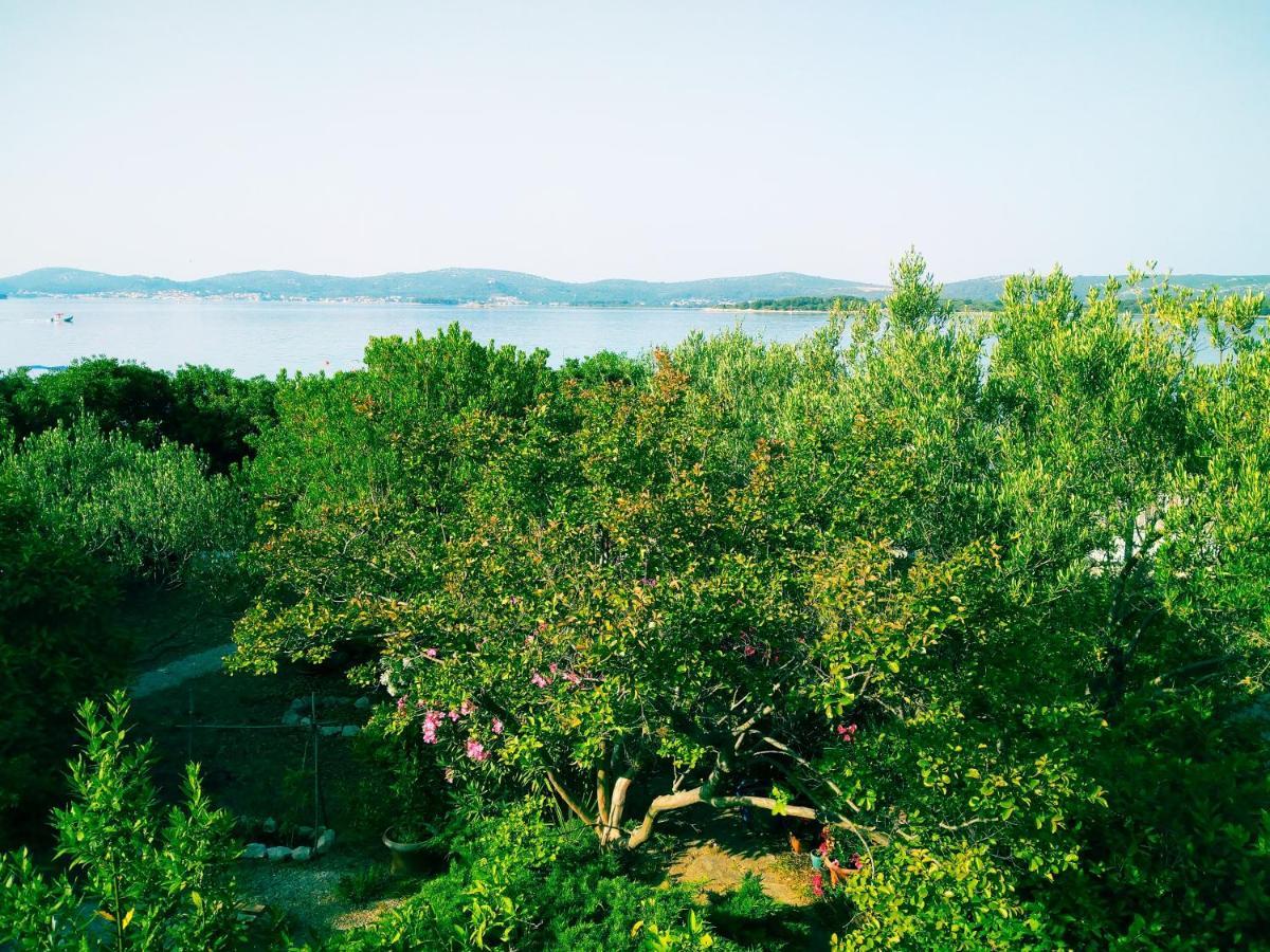 Adria Apartments Sveti Filip i Jakov Exteriör bild