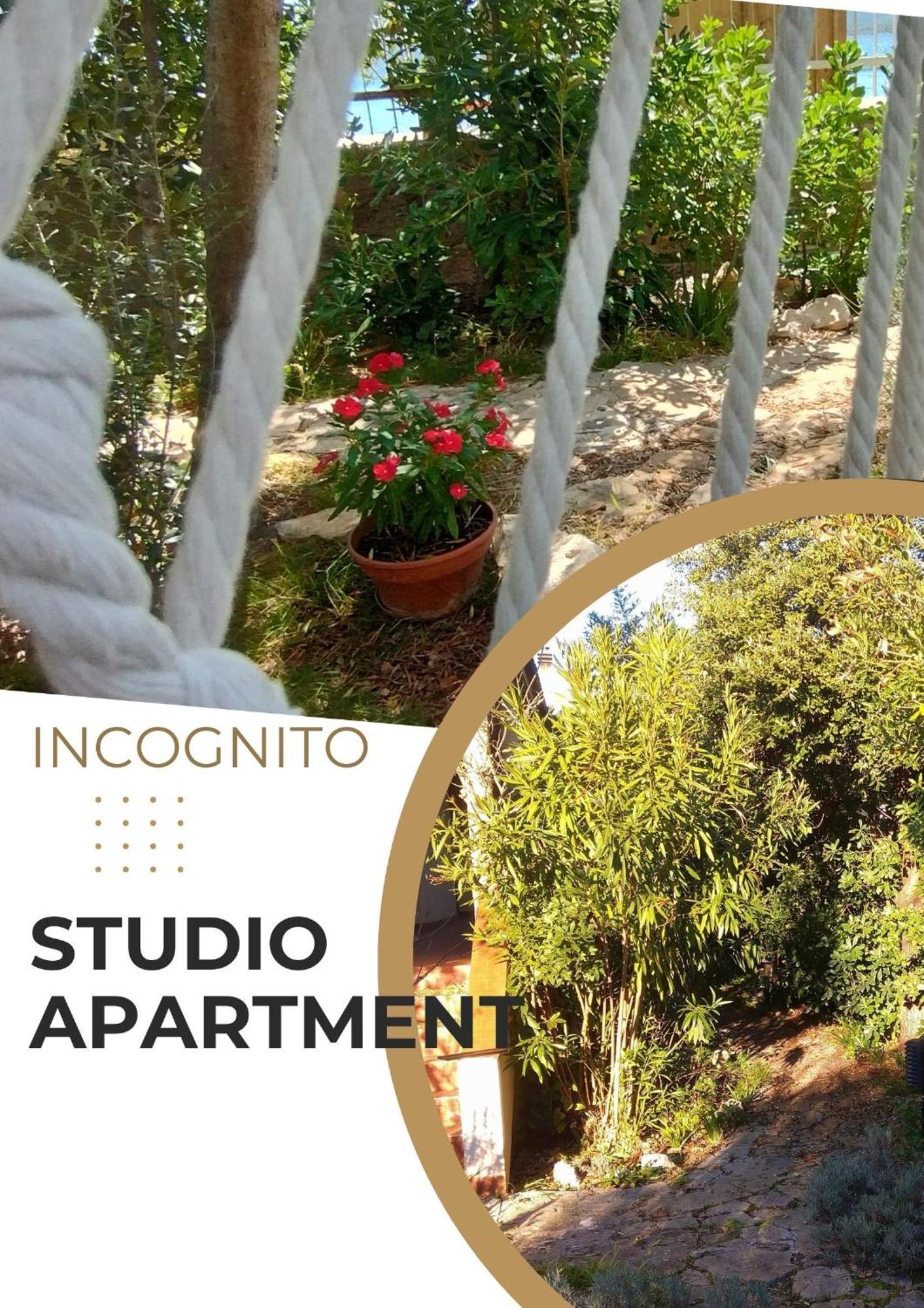 Adria Apartments Sveti Filip i Jakov Exteriör bild